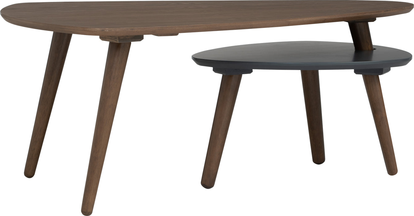 Vani Occasional Table (Set of 2)