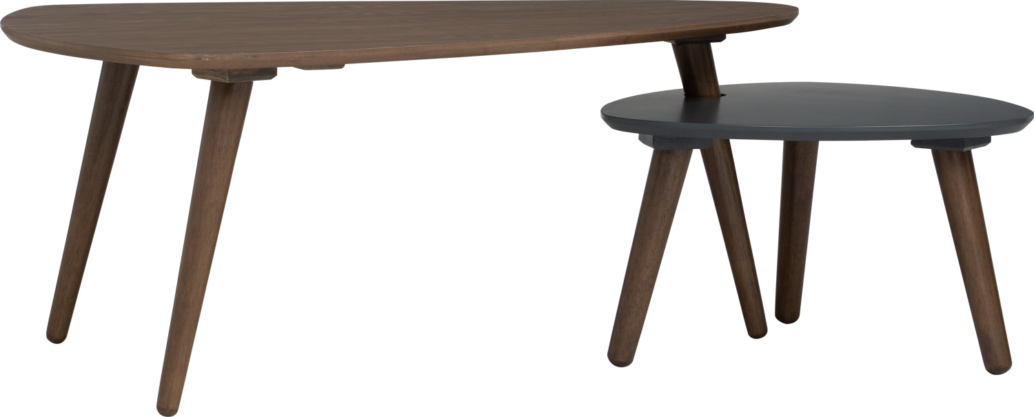 Vani Occasional Table (Set of 2)