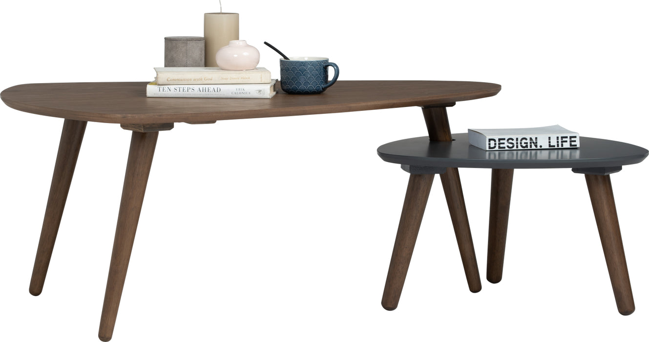 Vani Occasional Table (Set of 2)