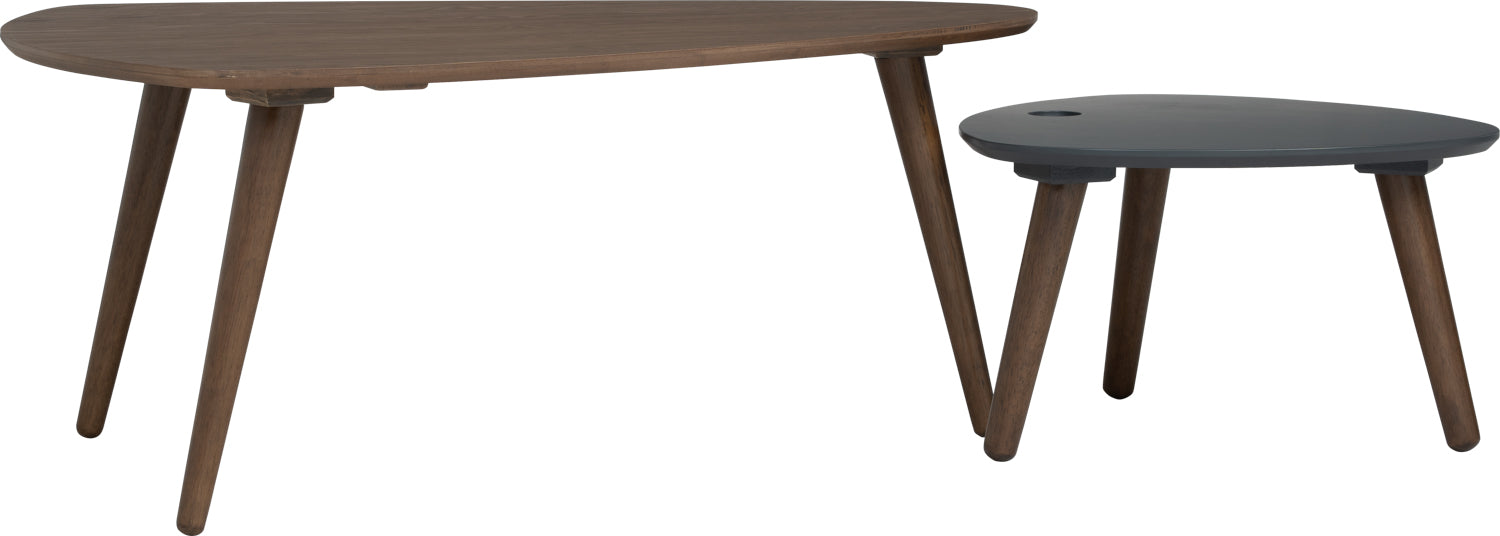 Vani Occasional Table (Set of 2)