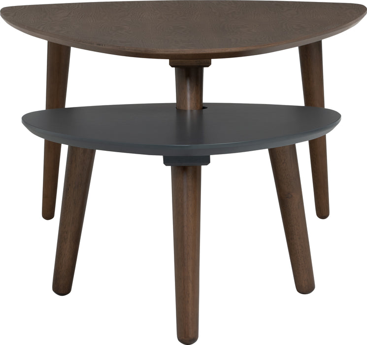 Vani Occasional Table (Set of 2)