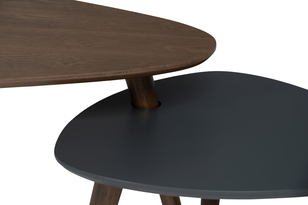 Vani Occasional Table (Set of 2)