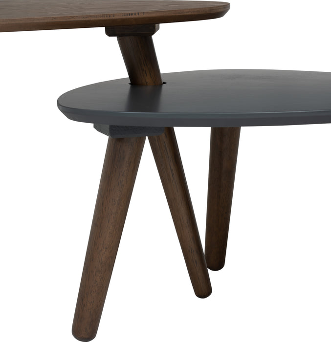 Vani Occasional Table (Set of 2)