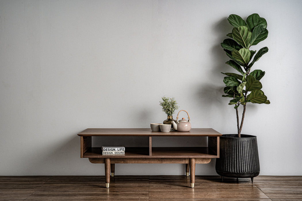 Bawa Coffee Table