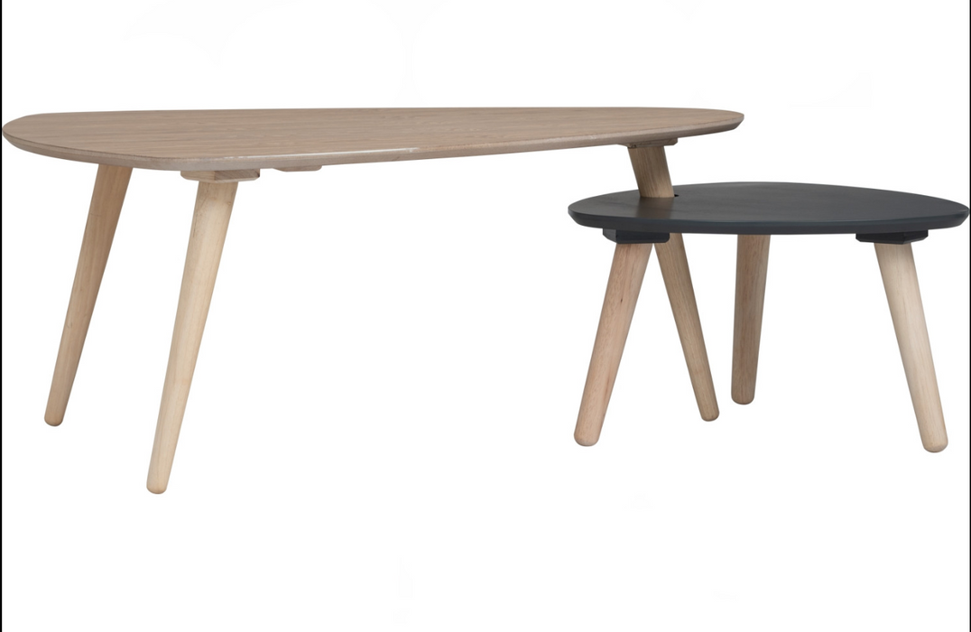 Vani Occasional Table (Set of 2)